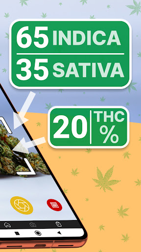 Kush Scan: AI Weed Identifier