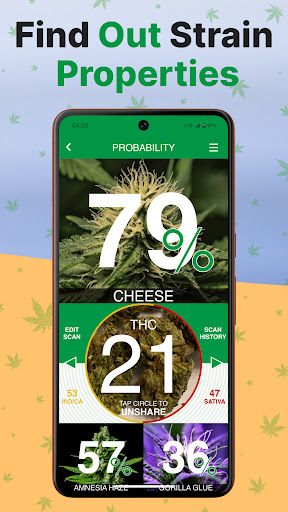 Kush Scan: AI Weed Identifier