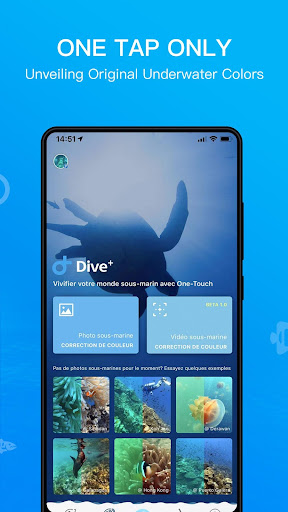 Dive+ : Diving Community