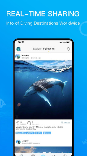 Dive+ : Diving Community