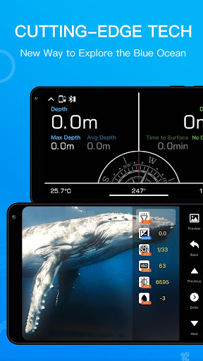 Dive+ : Diving Community