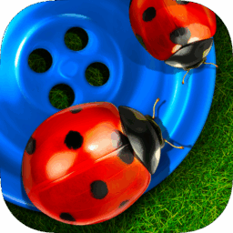 Bugs and Buttons