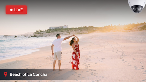 Live Camera – Street View