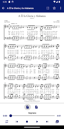 Coro LLDM Pro (LLDM Choir Pro)