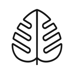 Monstera – Growing guides