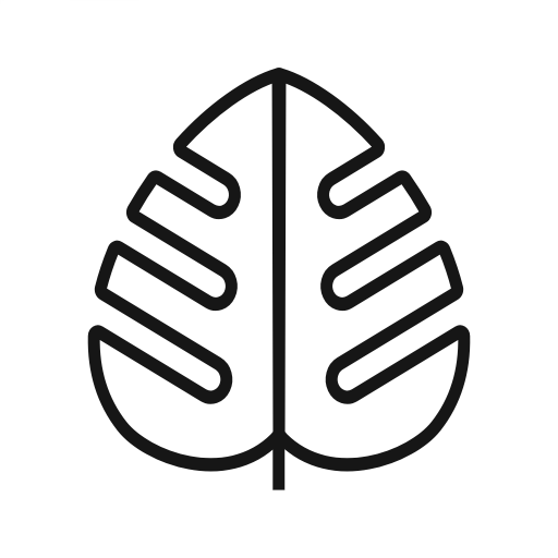 Monstera – Growing guides