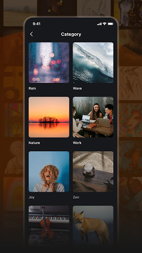 Musivibe – Enjoy Various Music