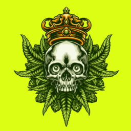 Weed Skull Wallpapers HD