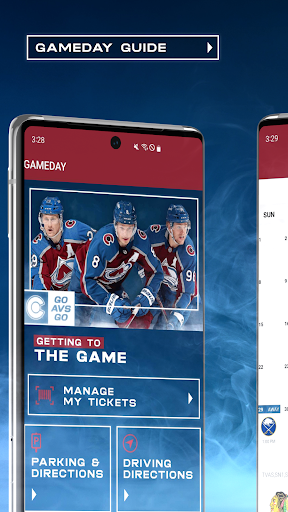 Colorado Avalanche