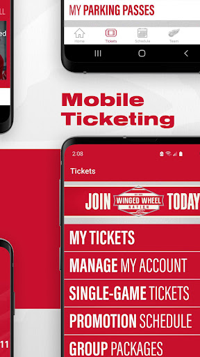 Detroit Red Wings