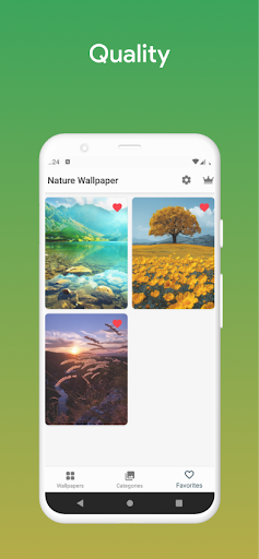 Nature Wallpaper