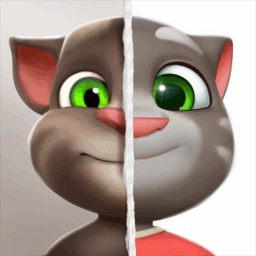 Talking Tom Cat
