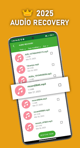 DS PRO – Recover All Deleted