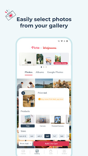 Picta x Walgreens Photo Print