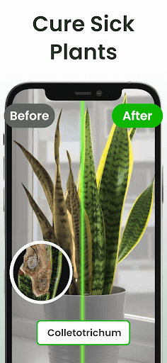 Plant Identifier: Plantiary