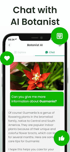 Plant Identifier: Plantiary