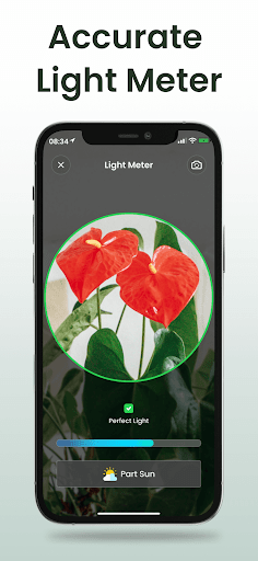 Plant Identifier: Plantiary