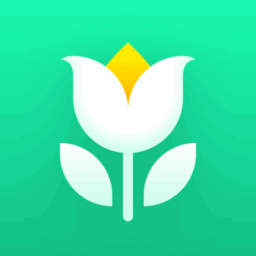 Plant Parent: Plant Care Guide