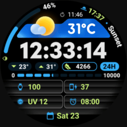 PRADO 93 Weather Watch Face