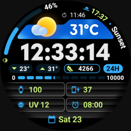 PRADO 93 Weather Watch Face