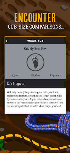 Dad Pregnancy Guide: Daddy Up