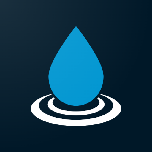 RainDrop: Virtual Rain Gauge
