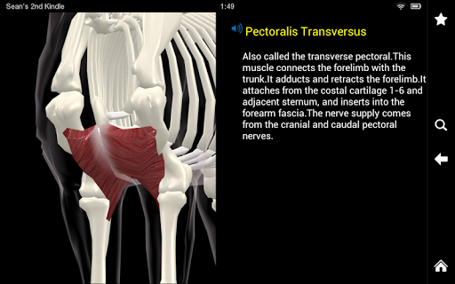 Horse Anatomy: Equine 3D