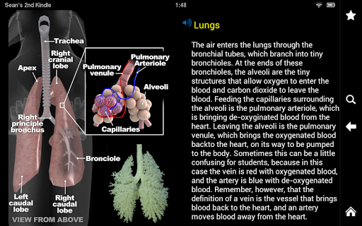Horse Anatomy: Equine 3D