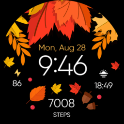 Seasonal Nature – Wear OS