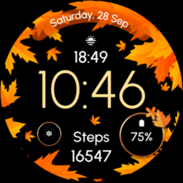 ReS51 – Autumn & Winter Watch