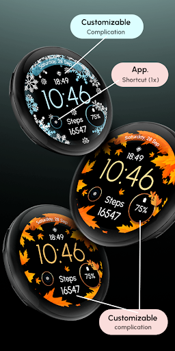 ReS51 – Autumn & Winter Watch