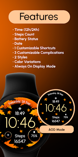 ReS51 – Autumn & Winter Watch