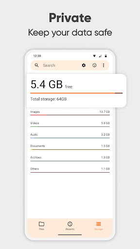 Simple File Manager Pro