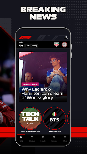 Formula 1®
