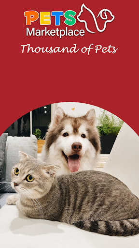 Pets Market Buy, Sell & Adopt