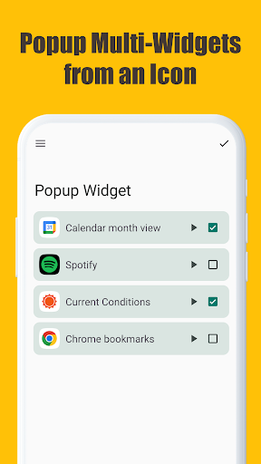 Popup Widget