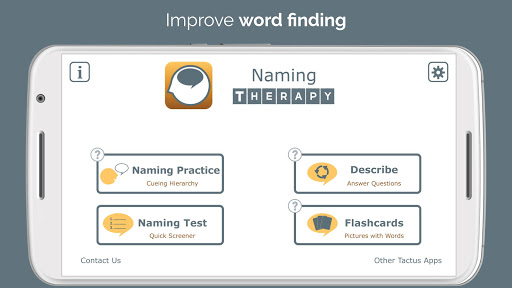 Naming Therapy
