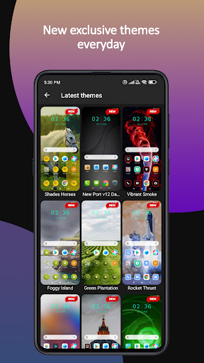 Themes