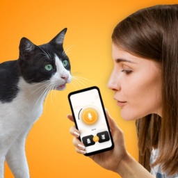 CatTranslator – Cat to Human