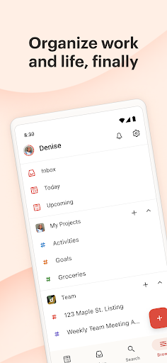 Todoist: Planner & Calendar