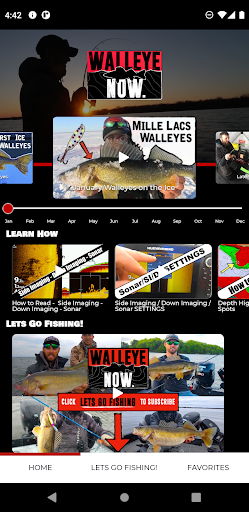 Walleye Now