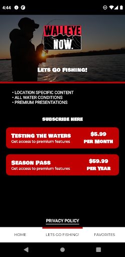 Walleye Now
