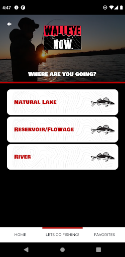 Walleye Now