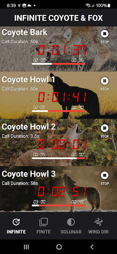 Coyote Calls