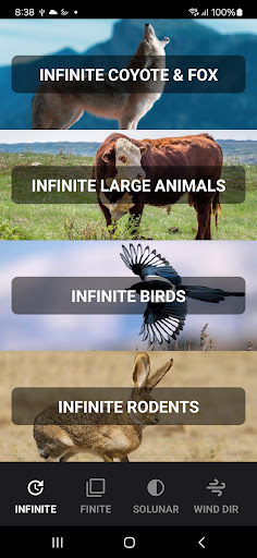 Coyote Calls