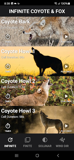 Coyote Calls