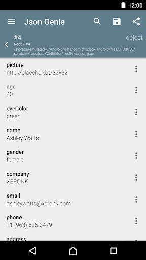 Json Genie PREMIUM (View/Edit)