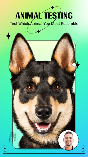 Artplay – AI Photo & Video