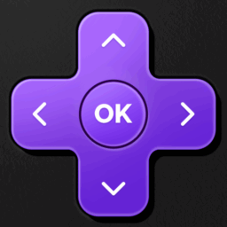 Universal TV Remote Control