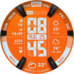 UsA LCD Weather Anim – USA181